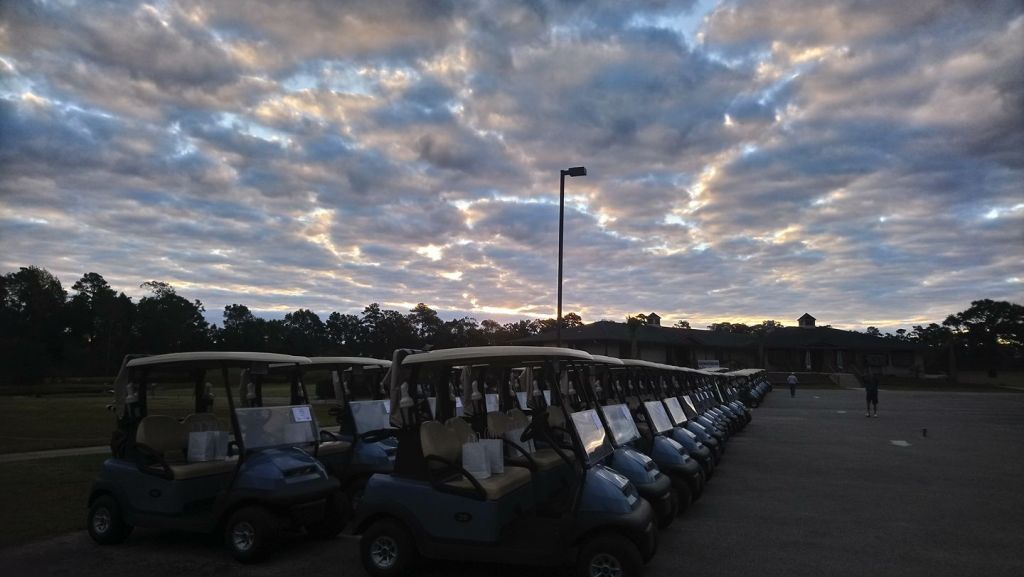 Row of golf carts